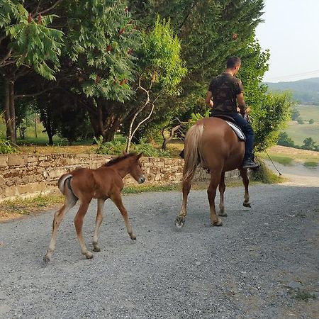 Agriturismo Corte Del Gallo 里韦尔加罗 外观 照片