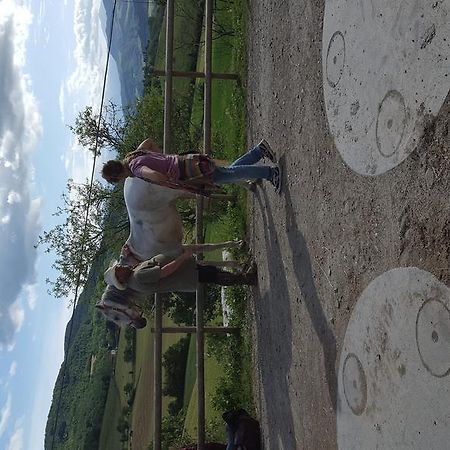 Agriturismo Corte Del Gallo 里韦尔加罗 外观 照片